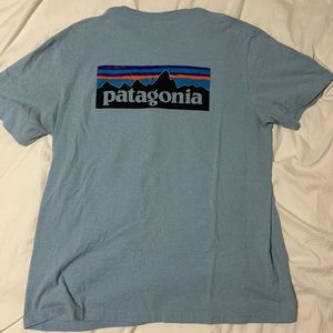 Patagonia tshirt